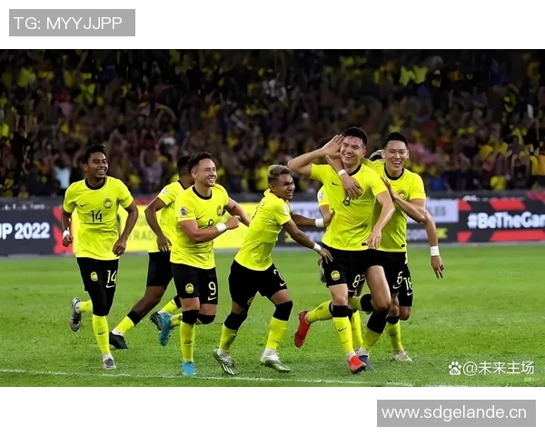 七名归化球员起诉马来西亚足协索赔因违规禁赛一年事件引发关注